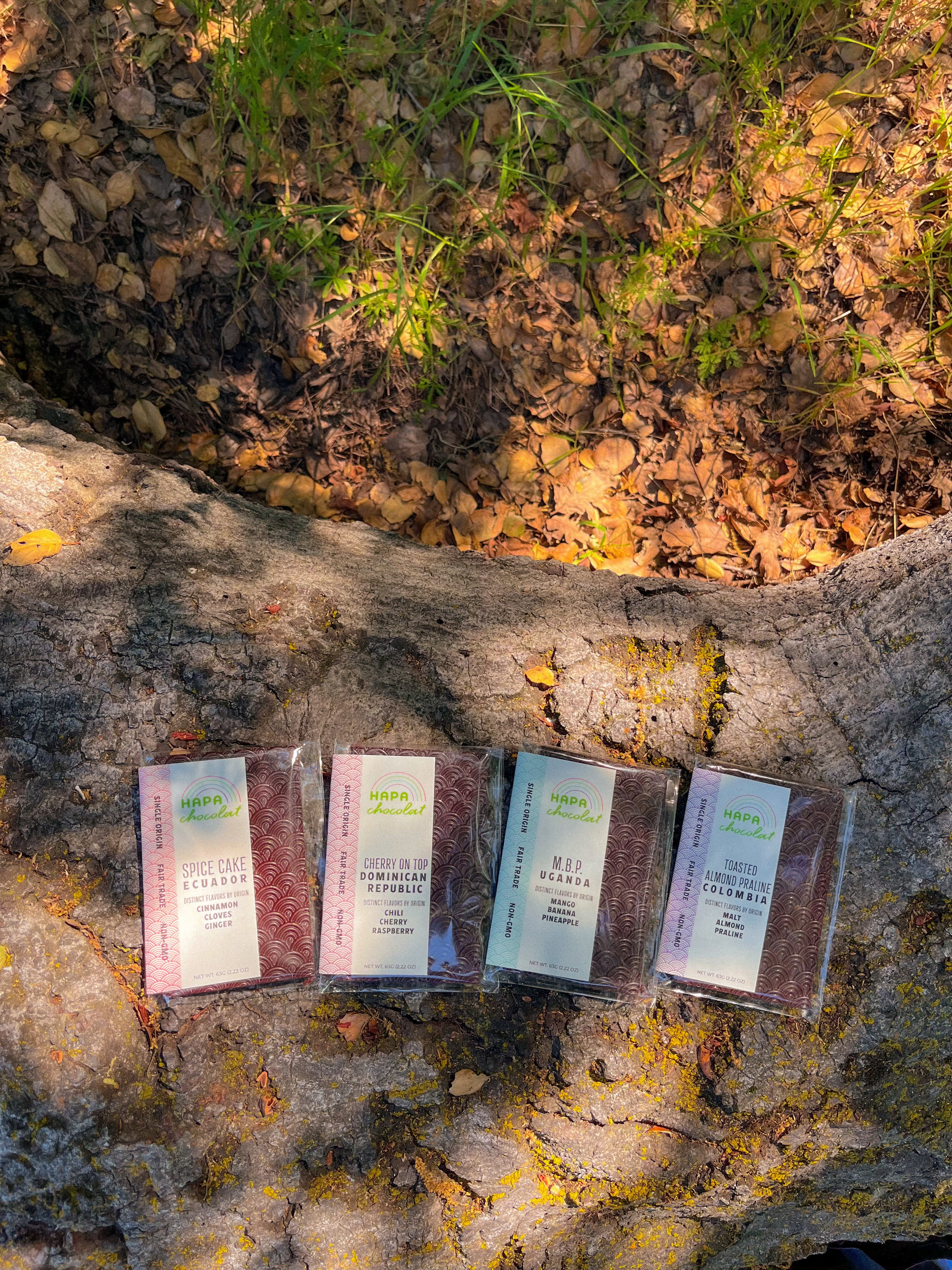 Four dark chocolate bars resting on a fallen tree above some leaves and green grass.